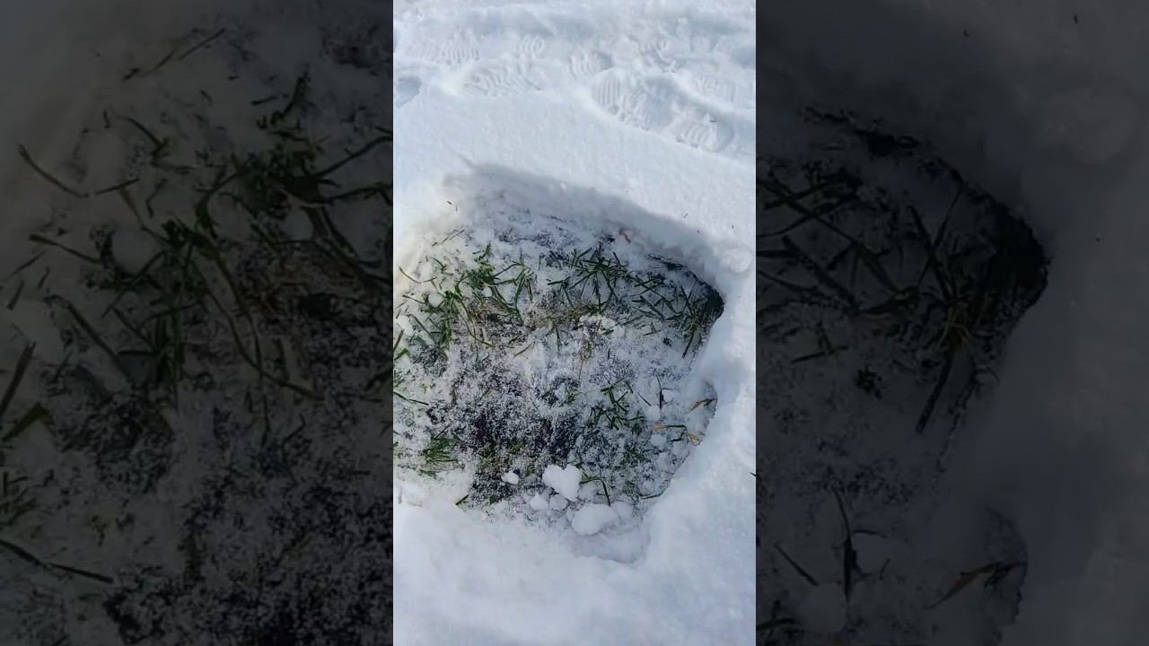 Проверка снежного покрова на полях смотреть онлайн