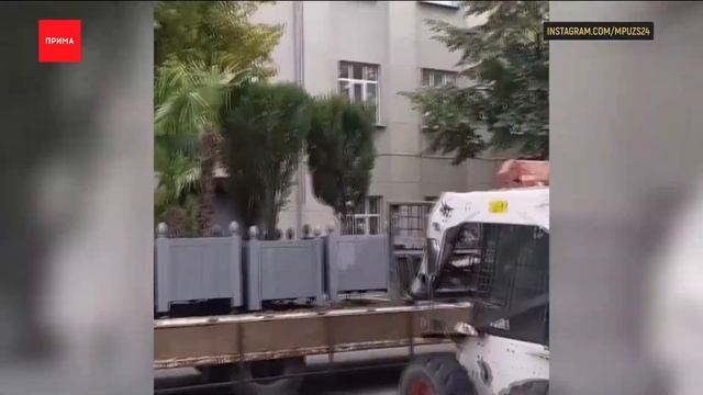 Пальмы и туи начали убирать с улиц Красноярска смотреть онлайн