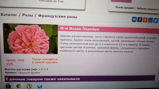 #РОЗЫ. Заказ саженцев роза на весну 2021 года. В каком питомнике заказала розы. смотреть онлайн