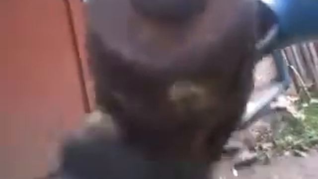 самодельний мутаблок смотреть онлайн