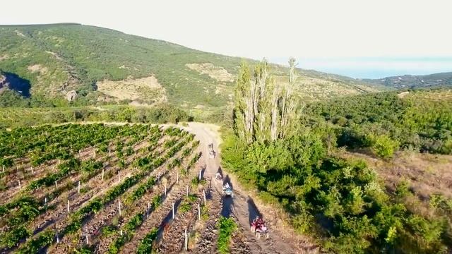 Прогулка на квадроциклах на Демерджи