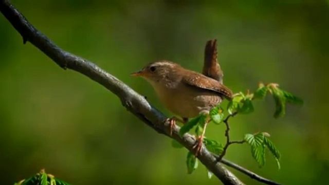 ОБЗОР ПОМОЩИ ДЕДУ МАТВЕЮ/ КАНАЛОМ БЫТЬ ДОБРУ!!! смотреть онлайн