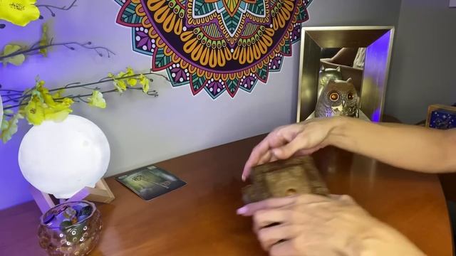 ÁRIES ♈️ ISSO TUDO ACONTECE EM NOVEMBRO ❤️? смотреть онлайн