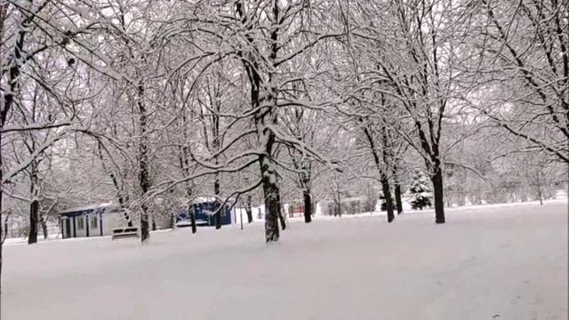 Красивое начало зимы смотреть онлайн