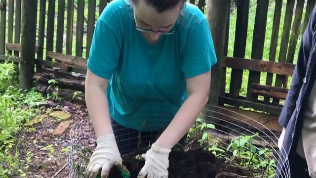 Самостоятельная реставрация деревянного окна. Инновационная грядка Даши смотреть онлайн