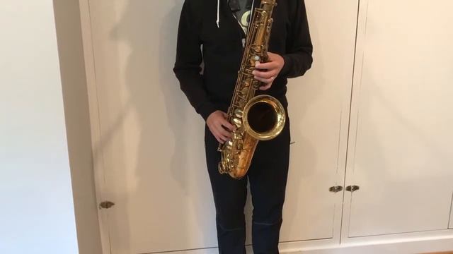 229,xxx Selmer Mark VI Tenor Saxophone Demo смотреть онлайн