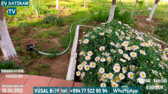 QİYMƏT DÜŞDÜ! 255 000 (285 000) MANATA BAĞ EVİ SATILIR/Недвижимость в Баку / EV SATIRAM TV смотреть онлайн