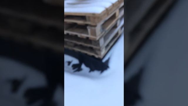 Пленка для пруда в зимний период