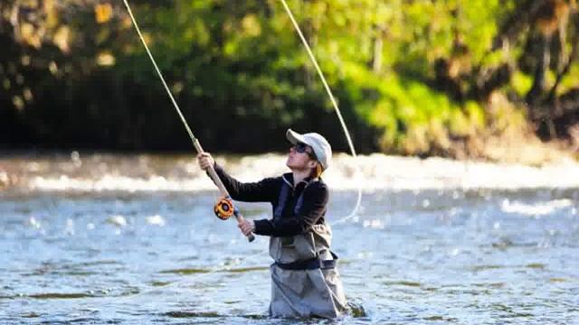 электронная приманка клев рыбы смотреть онлайн