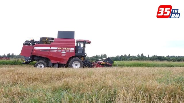 Вологодские аграрии приступили к уборке зерновых культур смотреть онлайн