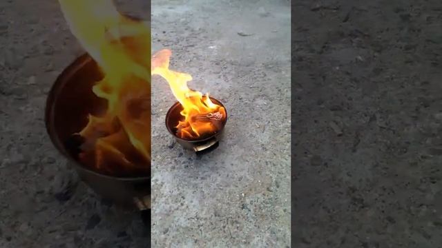 Как прогнать мышь из вашего авто Часть 2 смотреть онлайн