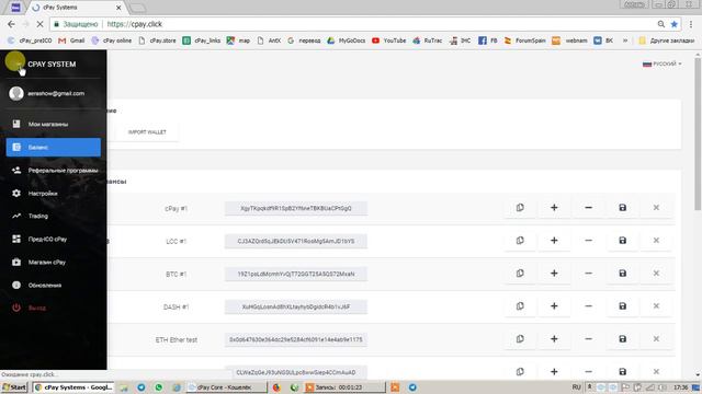 где узнать Ваш адрес сРау кошелька смотреть онлайн