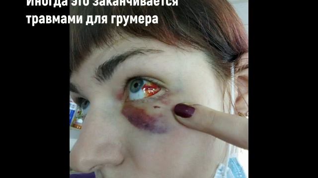 Кошмары грумера смотреть онлайн