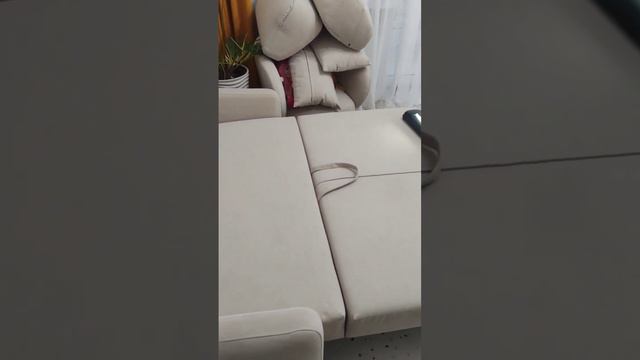 Чистка ковров и мягкой мебели. #уборка #генеральнаяуборка #юмор смотреть онлайн