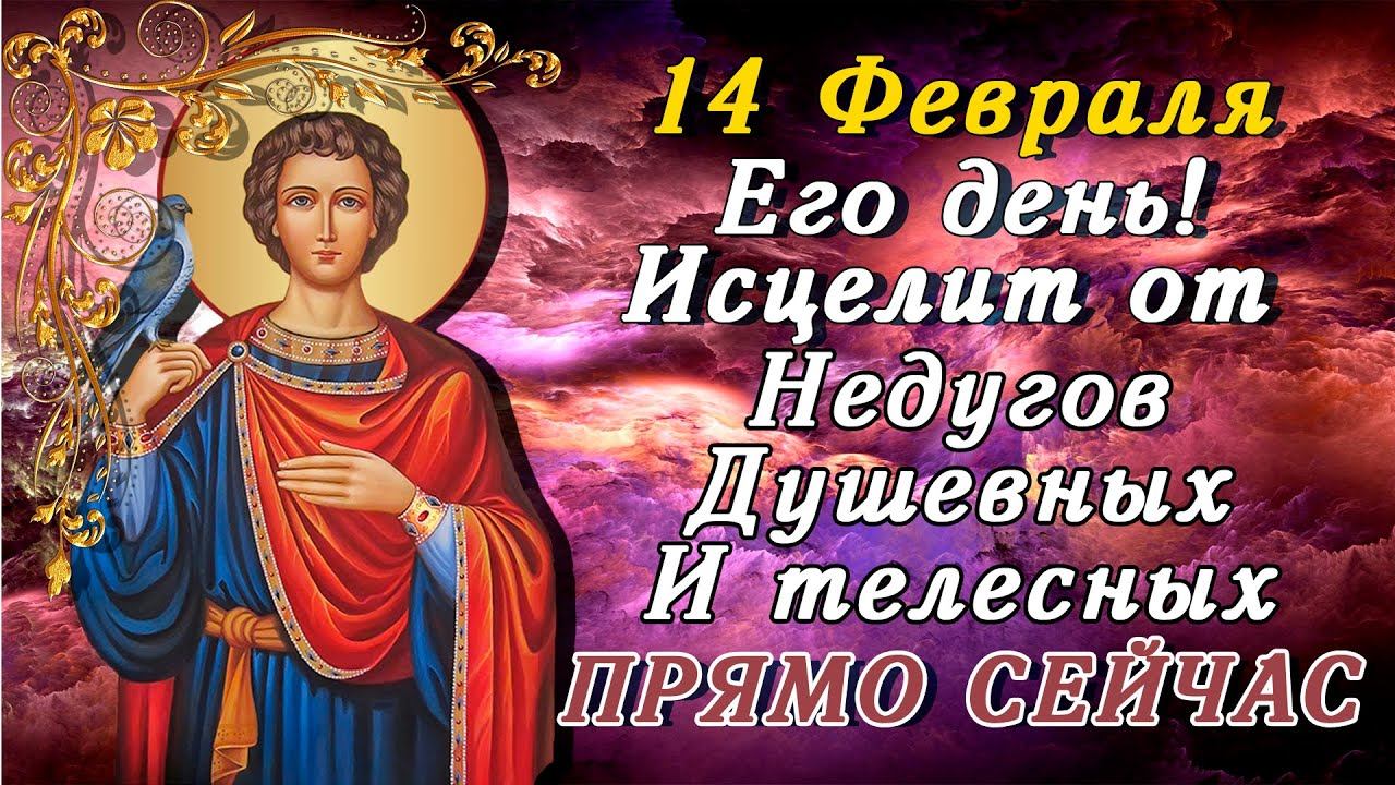 ИСЦЕЛИТ ПРЯМО СЕЙЧАС! 14 ФЕВРАЛЯ МОЛИТВА ТРИФОНУ ОТ НЕДУГОВ ДУШЕВНЫХ И ТЕЛЕСНЫХ смотреть онлайн