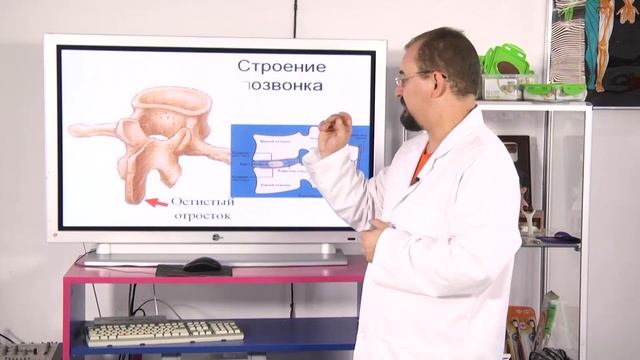 Массажное оборудование N-4 – особенности строения и применения (10-17) смотреть онлайн