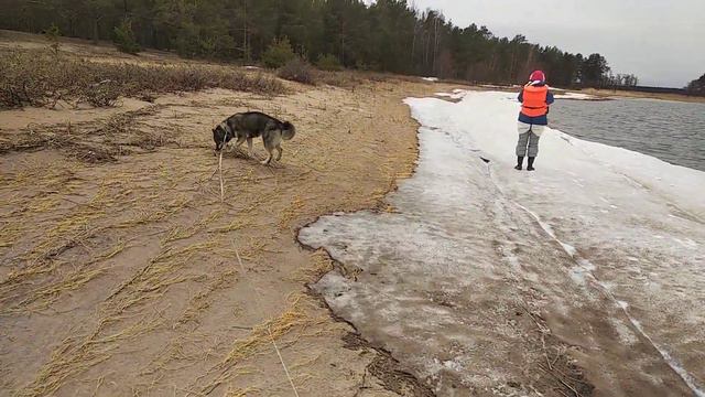 остров Новик. смотреть онлайн