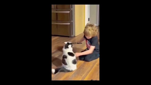 FUNNY CAT MEMES ?? And MOST TRENDING KITTENS 2023 V36 |? Moments Of Cute Animal | You Laugh You Los