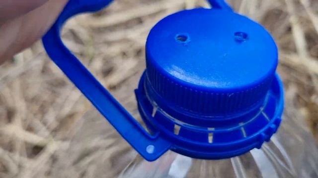 сбор березового сока в мае смотреть онлайн