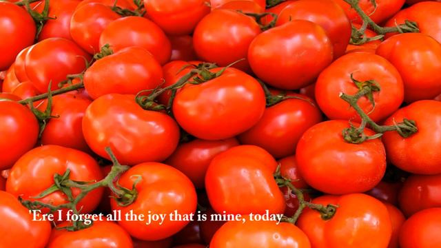 Today ,John Denver , 알토 색소폰 смотреть онлайн
