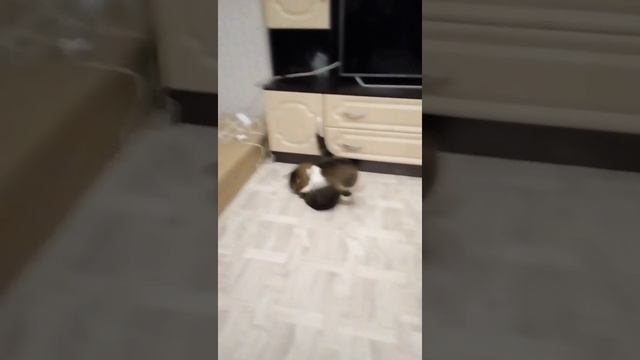 Измена мужа и жены смотреть онлайн