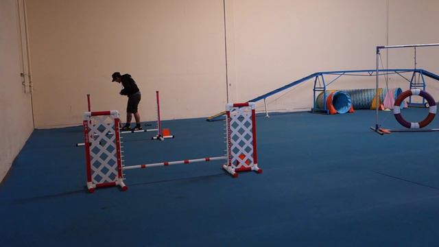 April 3, 2015 18 Dusty & Banjo смотреть онлайн