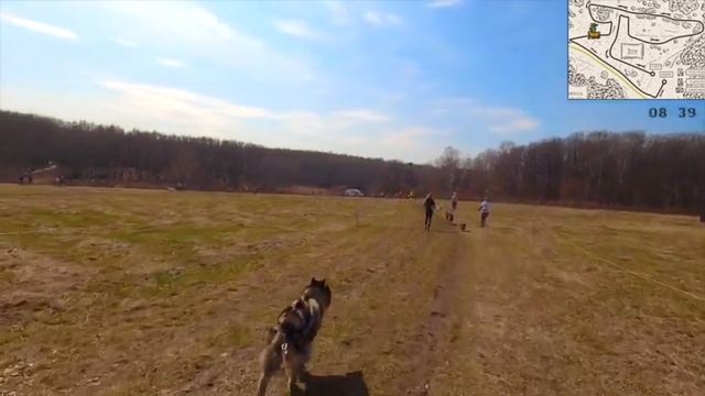 Как мы бегали кросс "Быстрый пёс" и "Лисья гора" смотреть онлайн