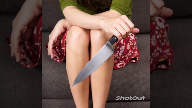 Shotcut-20240125-141358.mp4