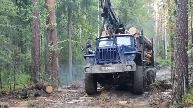 Подъем по лежневке. (Урал лесовоз) смотреть онлайн