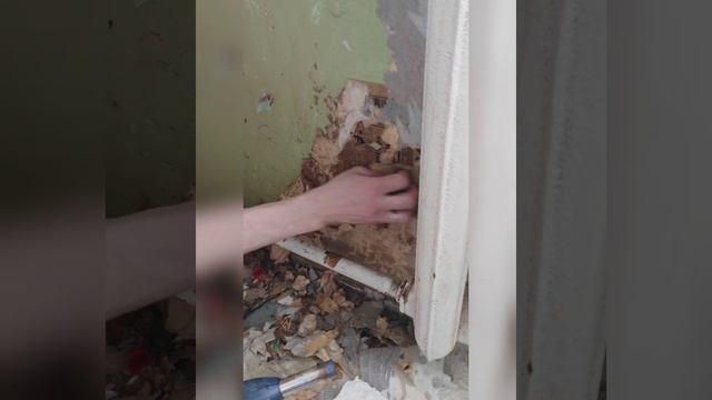 Как очистить обои от стен, если не всё так просто... смотреть онлайн