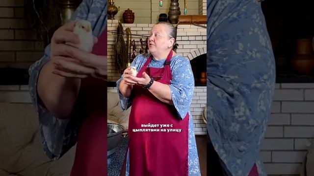 Петух или курица? Как понять? смотреть онлайн