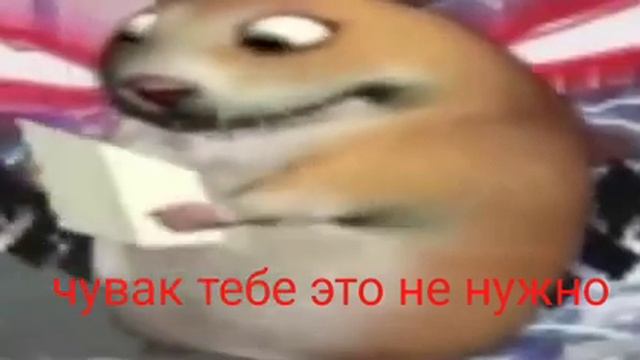 как правильно утопить хомяка в тазике смотреть онлайн