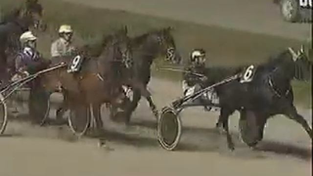 Premio delle Nazioni 2008 -Opal Viking смотреть онлайн