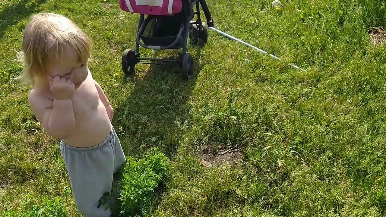 семья в огороде #сад