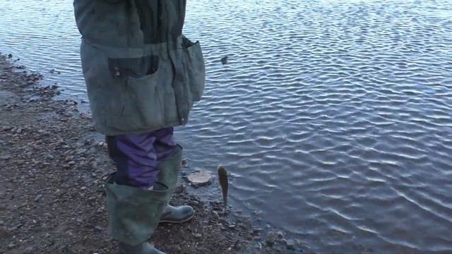 НАЛИМ НА КОНДЕ: угадайте, где клюёт лучше! смотреть онлайн