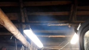 Трактор т40 д144 Что за проблема ???