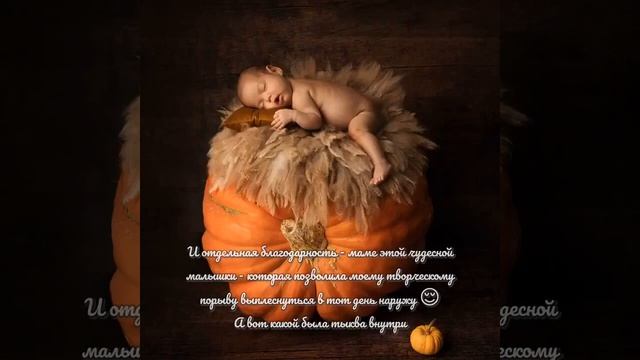 История одной тыквы и одного кадра