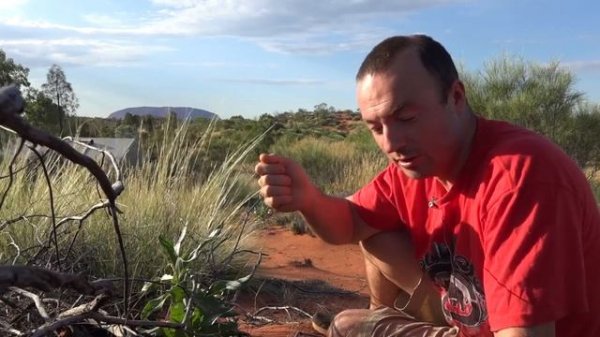 Аборигены Австралии