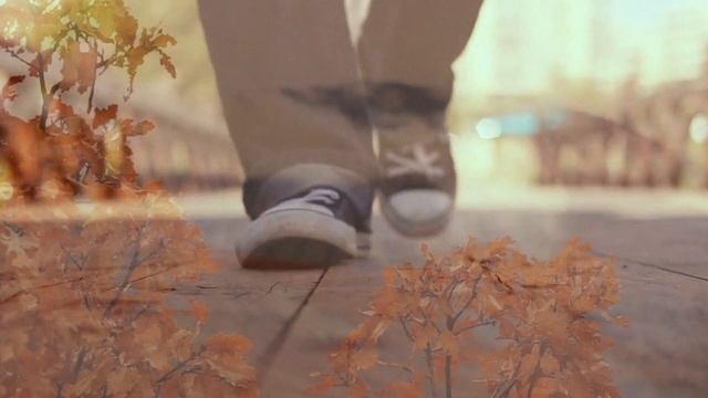 Поэт Сергей Данилов - Весенне-осеннее утро (Альбом "Эмпатия. Стихи о природе и жизни") смотреть онлайн