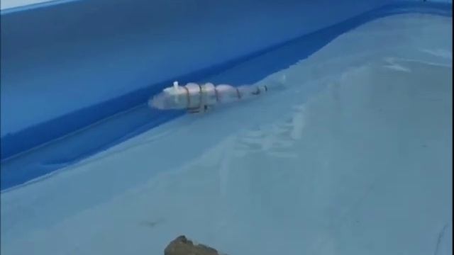 Robofish: create your robot fish with Arduino смотреть онлайн