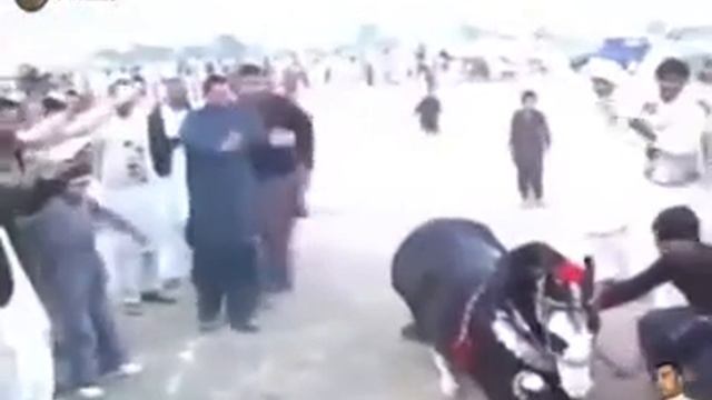 Арабский скакун под индийскую музыку смотреть онлайн