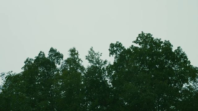 Horror Short Film “Backstroke” | ALTER смотреть онлайн