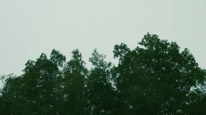 Horror Short Film “Backstroke” | ALTER