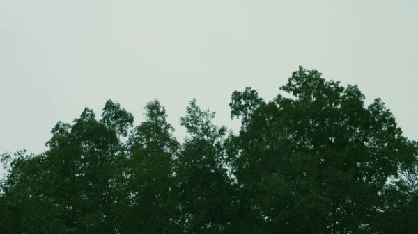 Horror Short Film “Backstroke” | ALTER