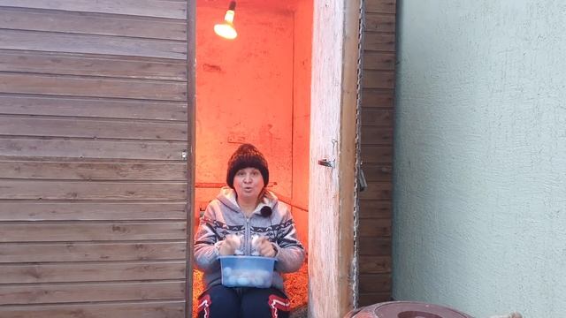 Куриные яйца с кровью, треснутые можно есть? Надо ли мыть яйца? смотреть онлайн