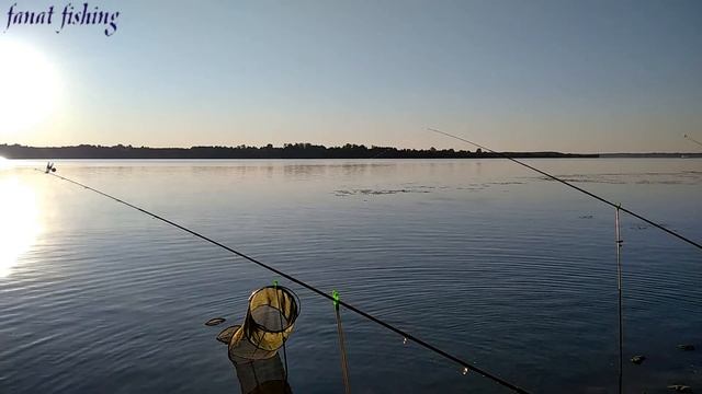 Рыбалка на Волге. Ловля рыбы на фидер. смотреть онлайн