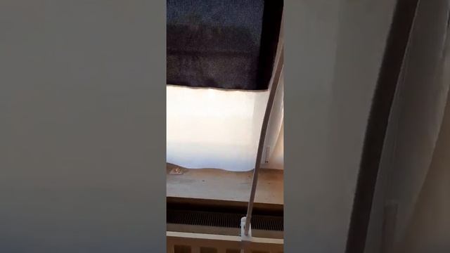Детская кроватка deson смотреть онлайн