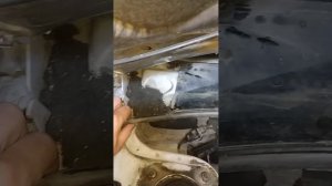 Вода в салоне Кия Спектра