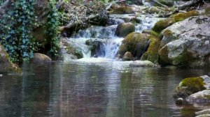 Христианская песня "Только Ты один"