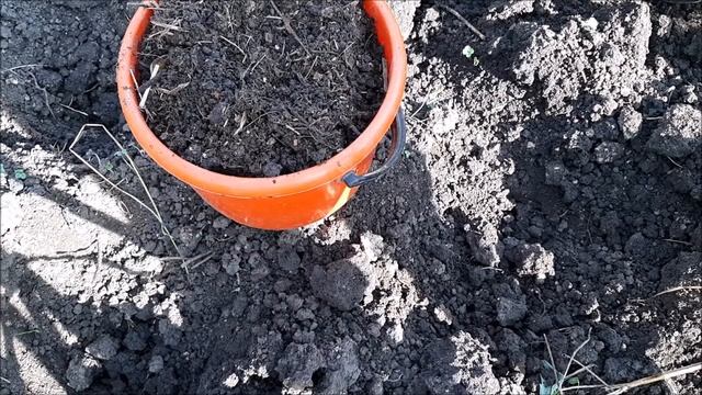 Осенняя посадка клубники, как правильно высадить клубнику. смотреть онлайн